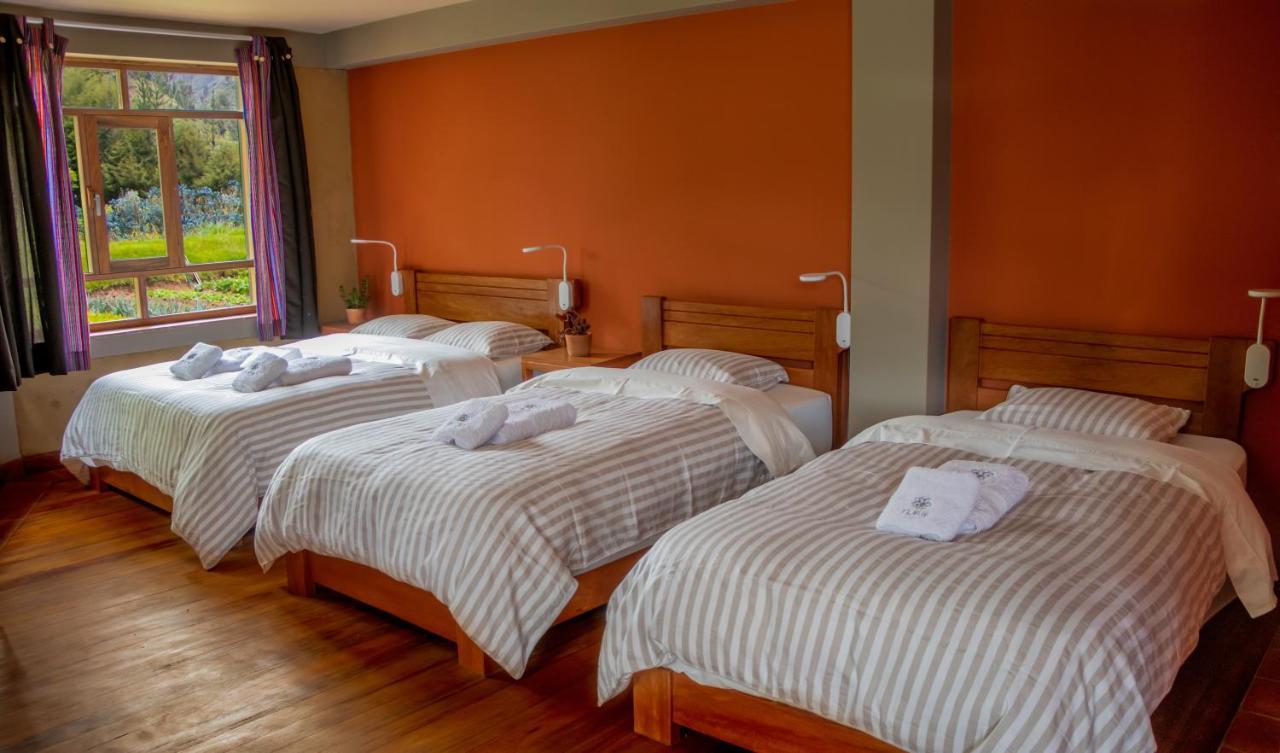 Fleur Lodge Carhuaz Bagian luar foto